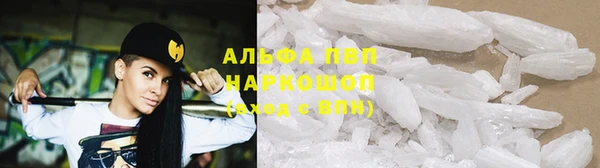 apvp Гусев