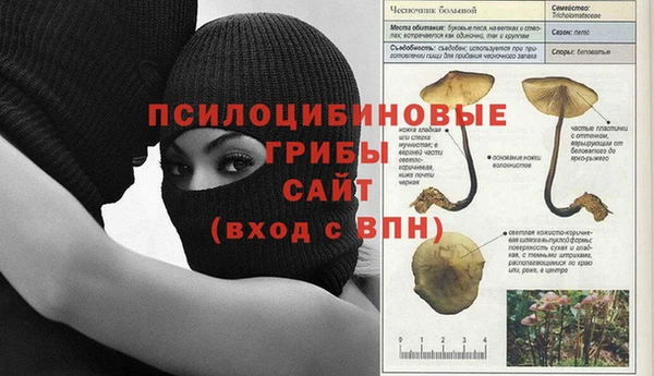 каннабис Гусиноозёрск