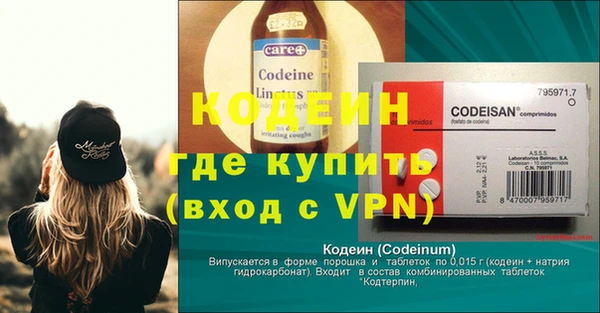 apvp Гусев