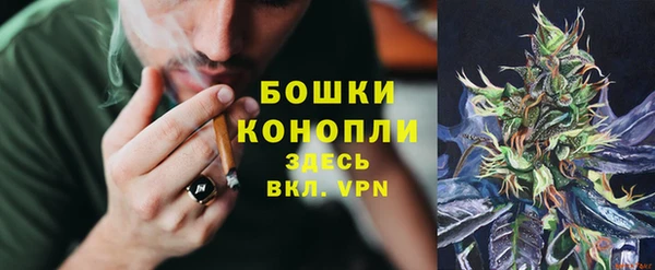 apvp Гусев