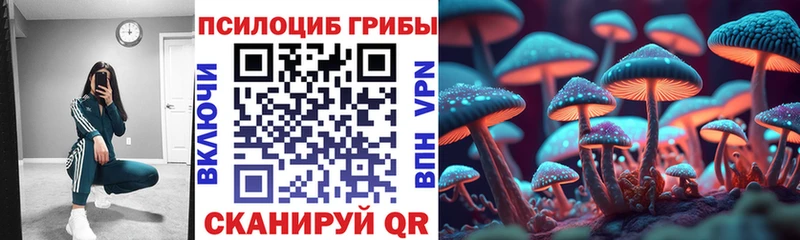 Галлюциногенные грибы Psilocybine cubensis  Бородино 