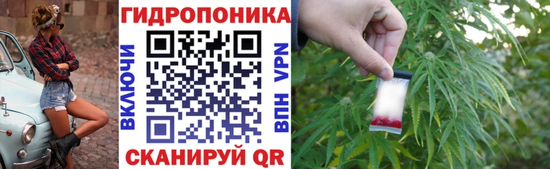 Бошки марихуана SATIVA & INDICA где купить наркоту Бородино
